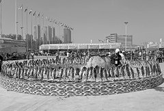 在新疆舉行 第三屆絲綢之路國際食品展覽會