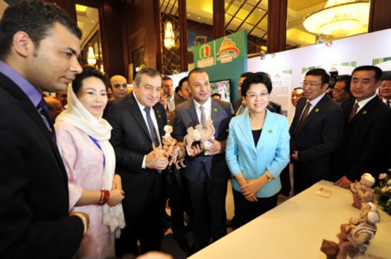 2016中阿博覽會走進埃及綜合展掀起蓋頭(圖2)