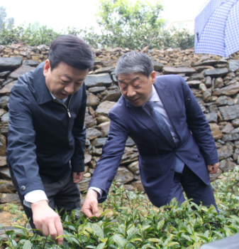 安康富硒茶引爆中國西部最牛茶專業(yè)展會(圖6)