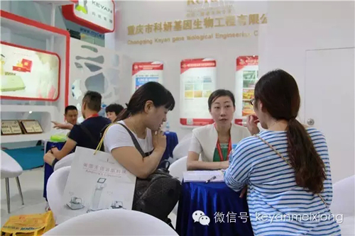 美博會人氣火爆展館——科妍現(xiàn)場分享賺錢模式(圖4)